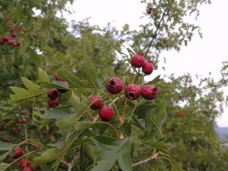 通化天气，山城四季里的冷暖人间