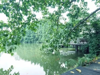 番禺天气，岭南水乡的四季私语