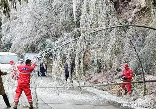 贵州将迎一轮强寒潮天气（贵州极寒天气）