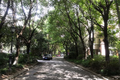汝州天气，四季流转中的中原小城