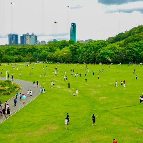 深圳疫情最新消息，防控措施再升级，市民生活有序恢复