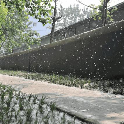 暴雪红色预警拉响,一场覆盖数亿人的极端天气考验 暴雪红色预警拉响,一场覆盖数亿人的极端天气考验