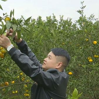荣昌天气预报，生活指南与自然密码