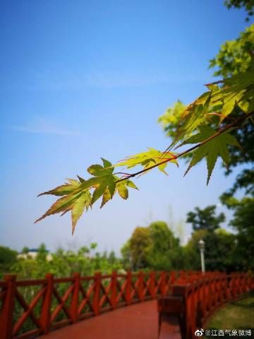 余干天气,四季轮转里的江南呼吸 余干天气,四季轮转里的江南呼吸
