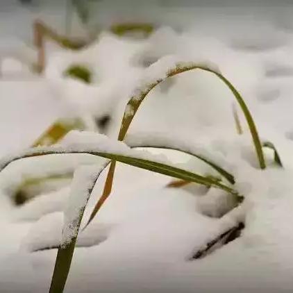 山西大雪最新通知,今日天气预警升级,多地需防范暴雪冰冻灾害 山西大雪最新通知,今日天气预警升级,多地需防范暴雪冰冻灾害