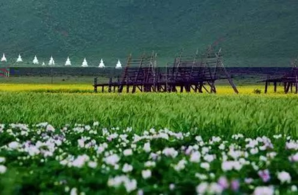 7月份去哪里旅游最好国内|清凉避暑、草原花海与山海之间的盛夏秘境 7月份去哪里旅游最好国内|清凉避暑、草原花海与山海之间的盛夏秘境