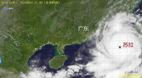 惠东天气预报,山海之间的气候密码与生活指南 惠东天气预报,山海之间的气候密码与生活指南