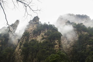 湖南张家界天气15天查询,为你的仙境之旅做好万全准备 湖南张家界天气15天查询,为你的仙境之旅做好万全准备