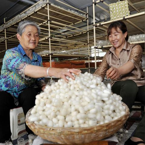富县天气预报,气候密码下的生活指南 富县天气预报,气候密码下的生活指南
