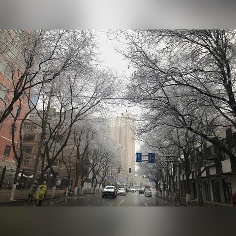 兰州40天天气趋势分析，季节交替中的气候密码