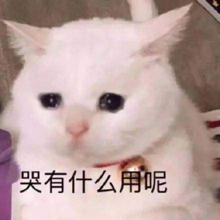苏州天气预报30天准确吗？真相可能和你想的不一样
