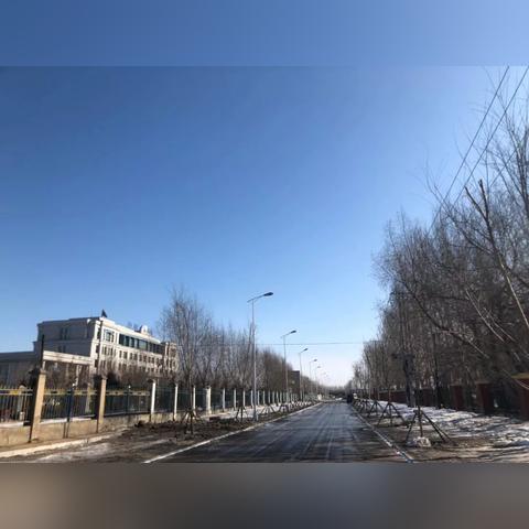 冰城之寒,哈尔滨的气温到底有多低? 冰城之寒,哈尔滨的气温到底有多低?