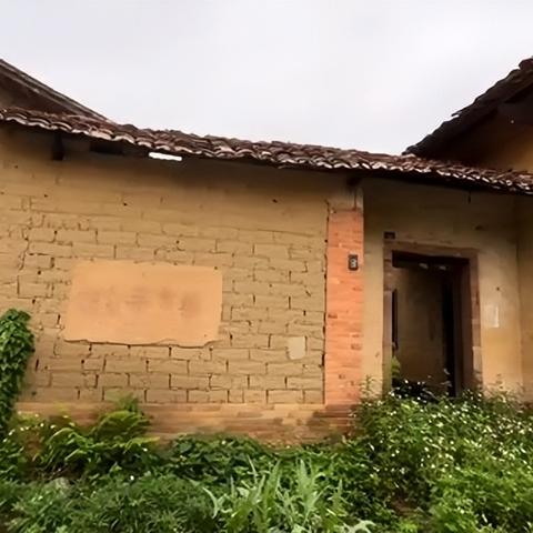 广西玉林天气预报，晴雨之间，感知岭南的温度