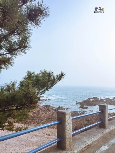 青岛的天气，海风里的四季诗篇