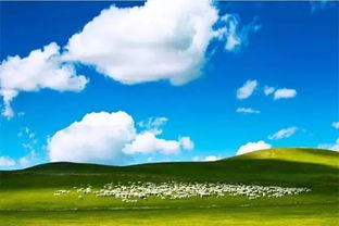 海拉尔的天空日记,一场与自然的温柔对话 海拉尔的天空日记,一场与自然的温柔对话