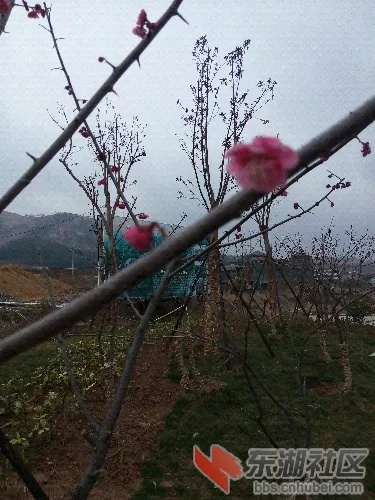 广水天气，四季轮转间的诗意与生活